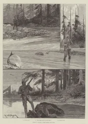 Sport in Alaska, mit Lachs und Bär